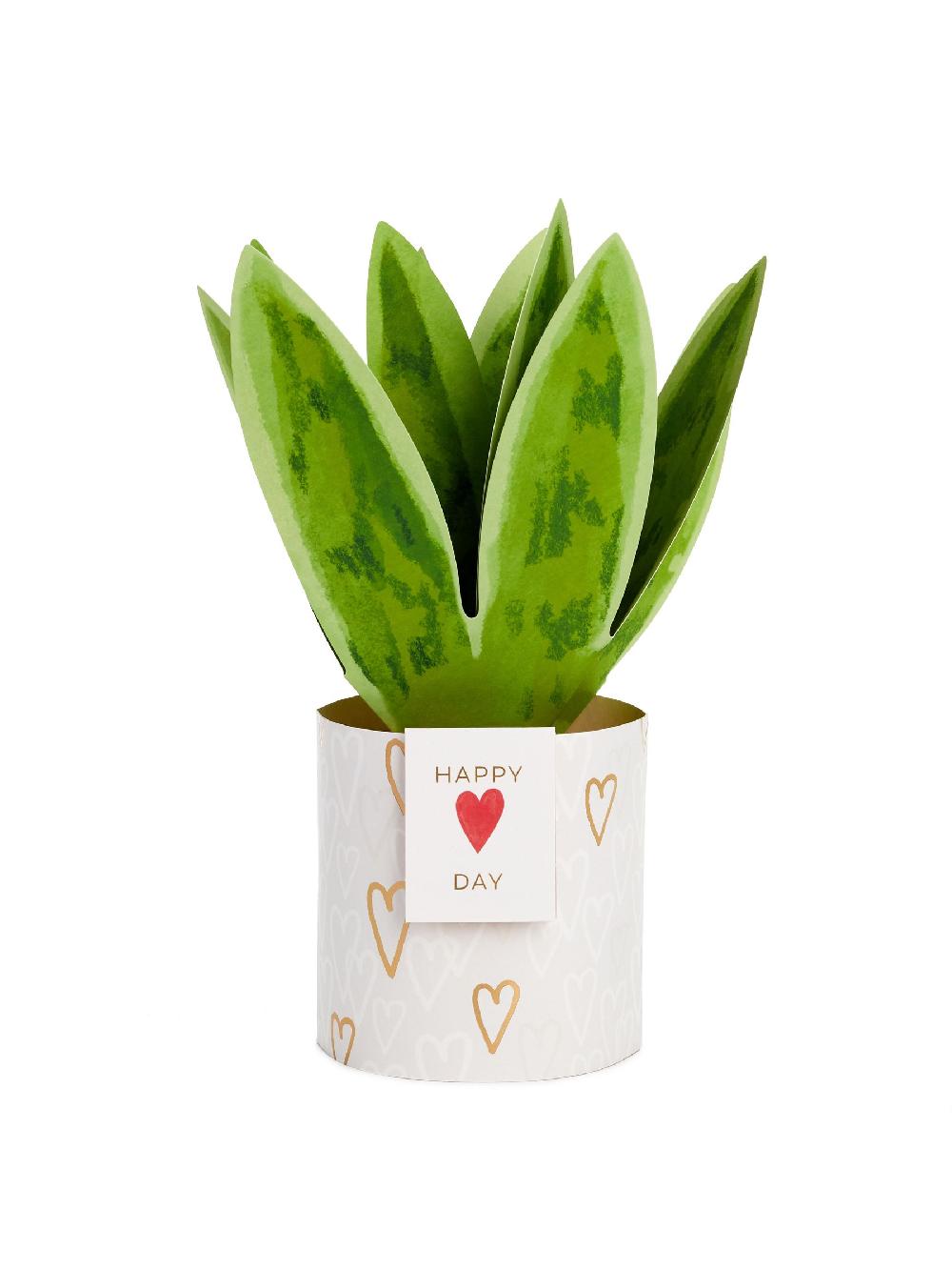 seraphine Hallmark Green White Snake Plant Paper Wonder 3D Valentine's Day Card