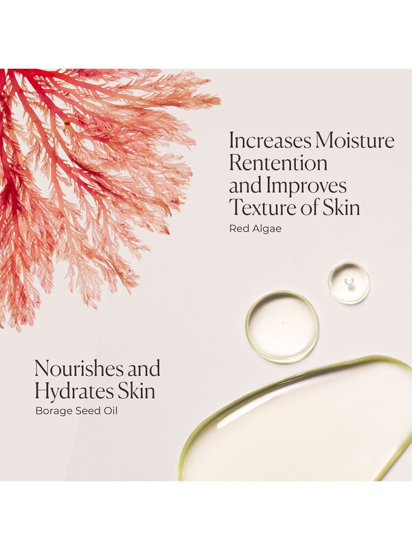 Seraphine Laura Mercier Ambre Vanille Honey Bath 250ml