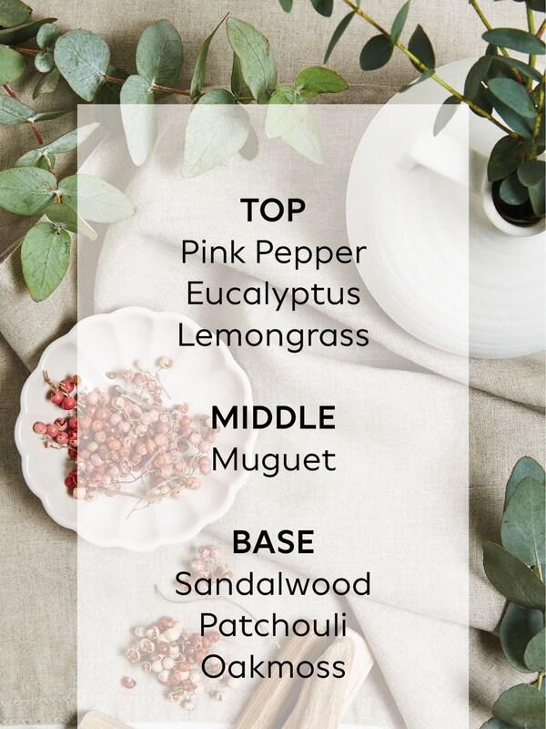 Seraphine Oakmoss Pink Pepper And Sandalwood Country Luxe 170ml Diffusers