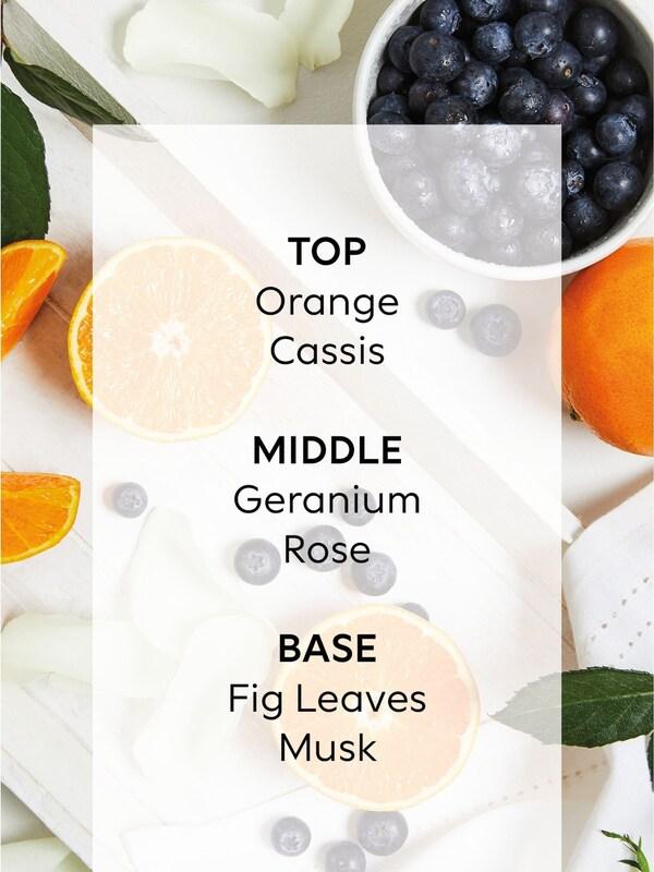 Seraphine Pure Harmony Orange And Geranium Country Luxe 170ml Diffuser