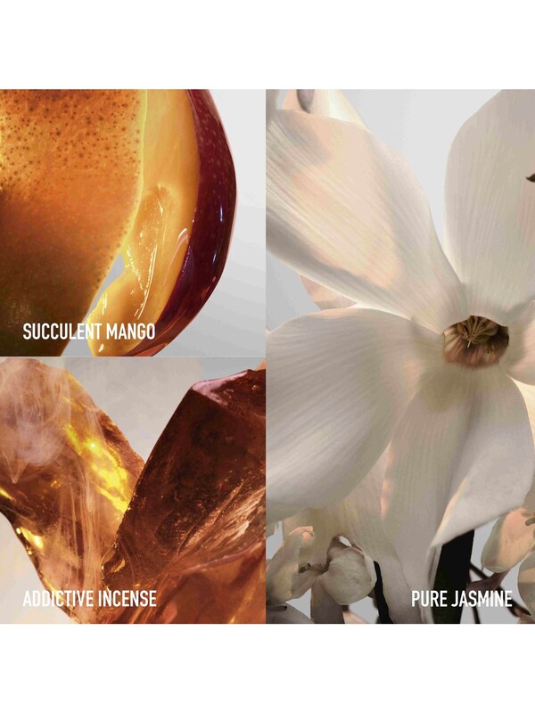 Seraphine Rabanne Fame Eau De Parfum Feline Collector 80ml