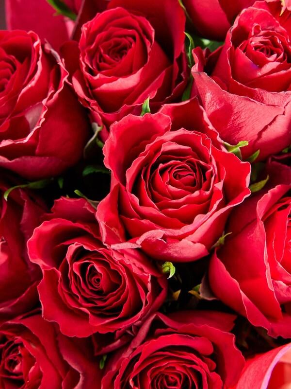 Seraphine Red Valentines 12 Roses And Chocolates Fresh Flower Bouquet Gift Set