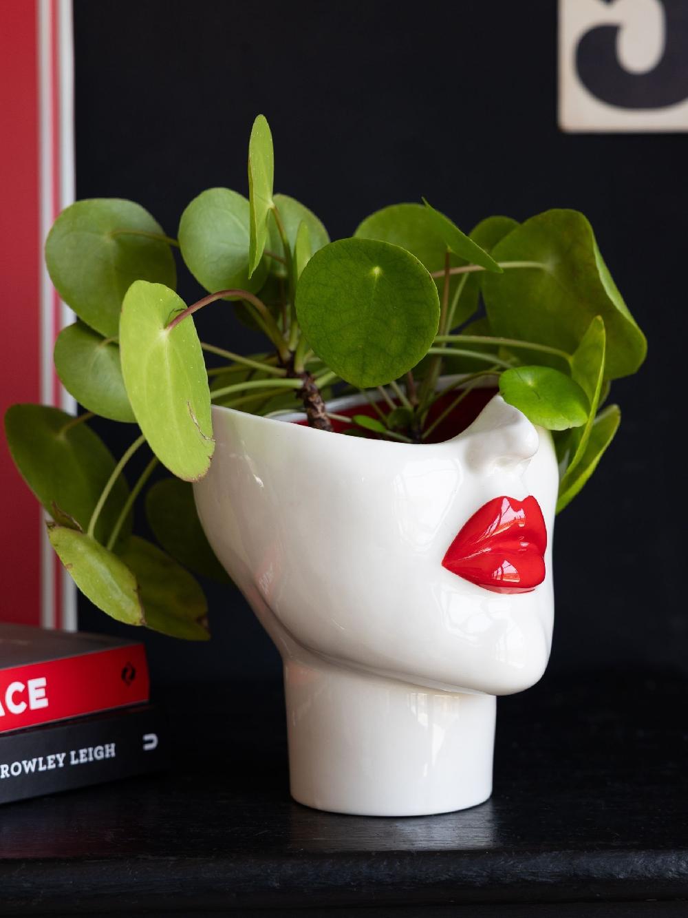 seraphine Rockett St George Red Lips Face Plant Pot