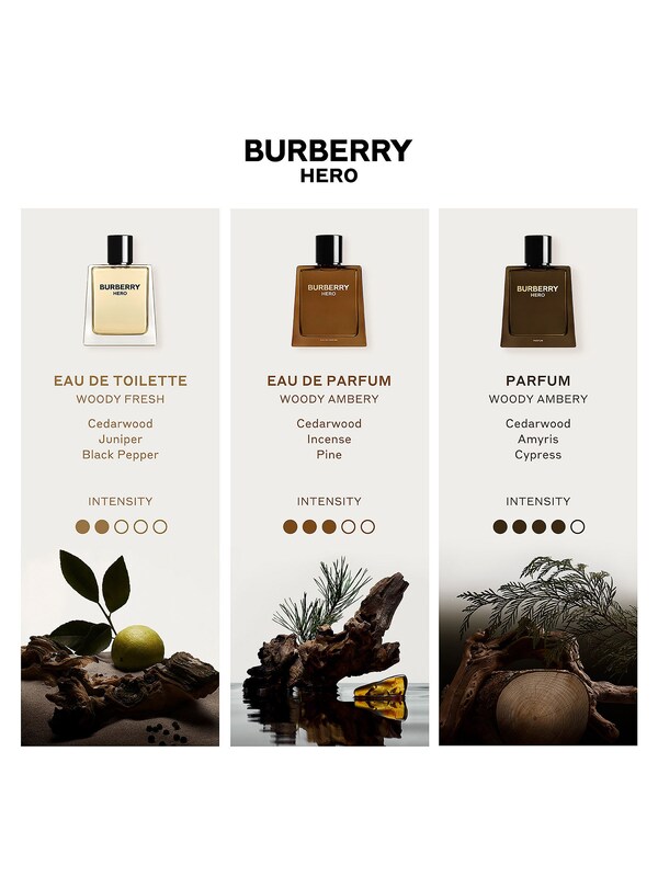 Seraphine Burberry 50ml Hero Men Parfum