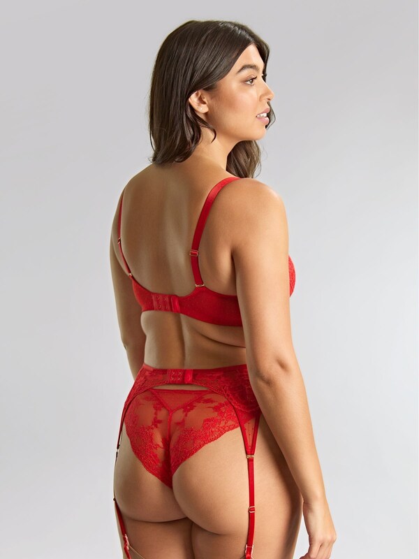 Seraphine Panache Red Heidi Plunge Wired Bra