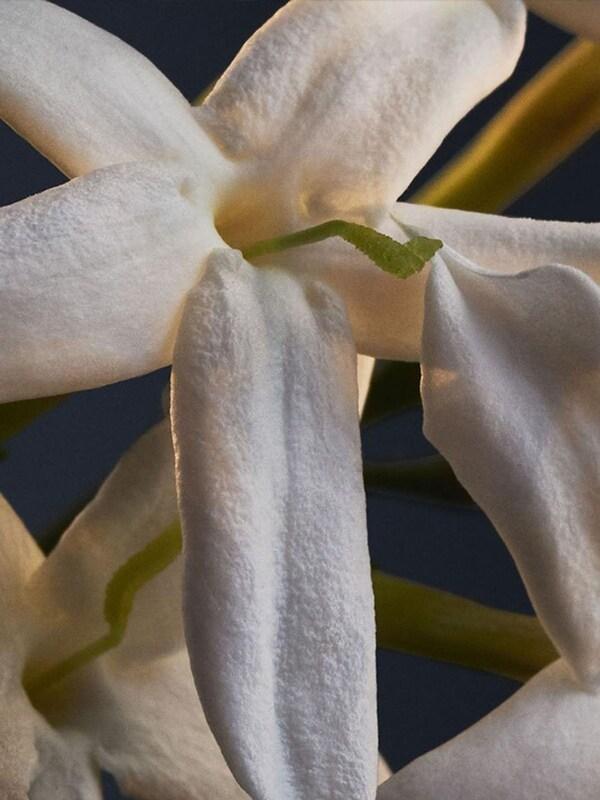 Seraphine Rabanne Lady Million Body Lotion 200ml