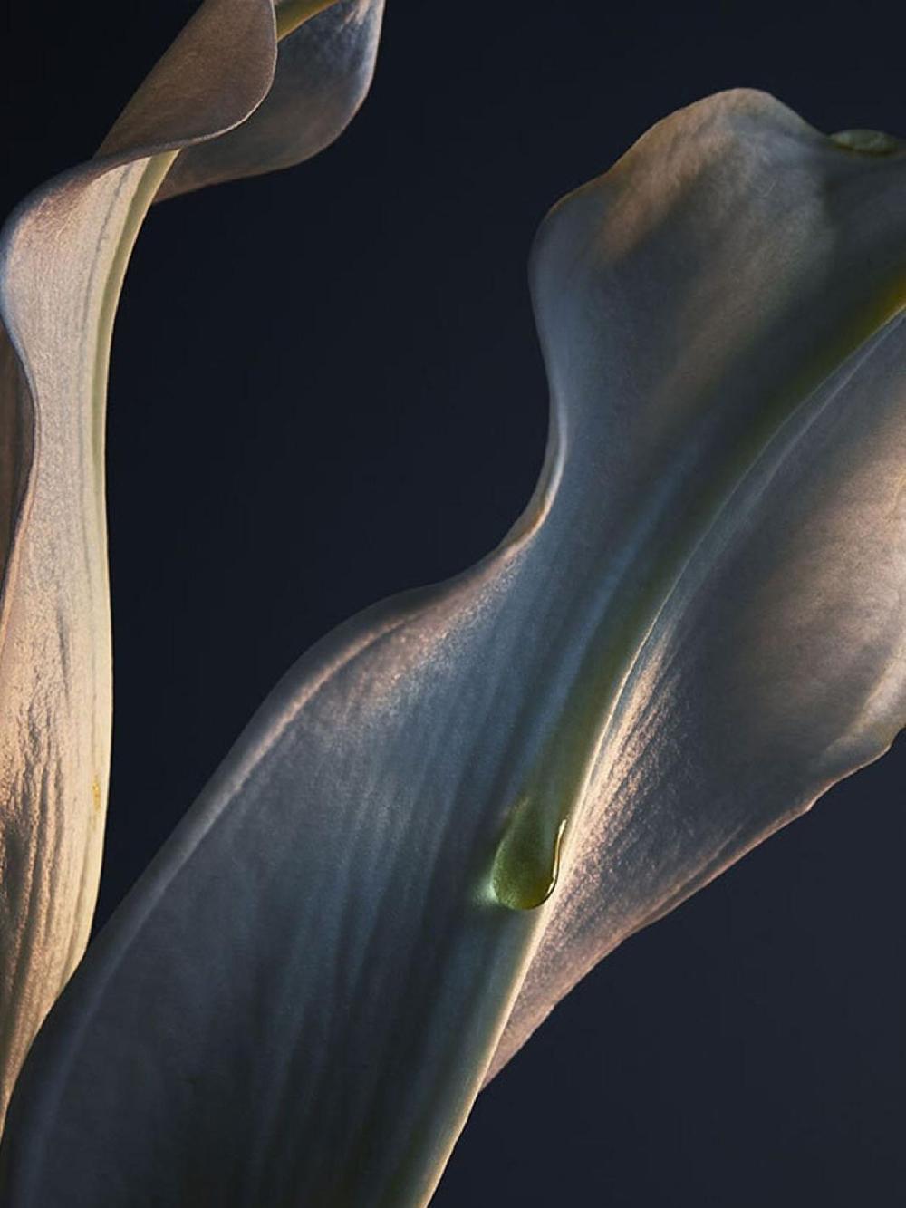 seraphine Rabanne Lady Million Body Lotion 200ml