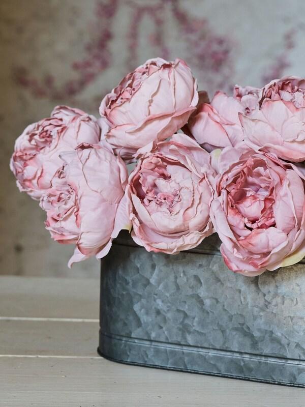 Seraphine Shabby Chic By Rachel Ashwell® Pale Pink Vintage Rose Trough