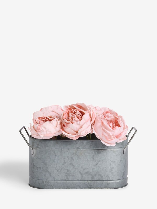 Seraphine Shabby Chic By Rachel Ashwell® Pale Pink Vintage Rose Trough