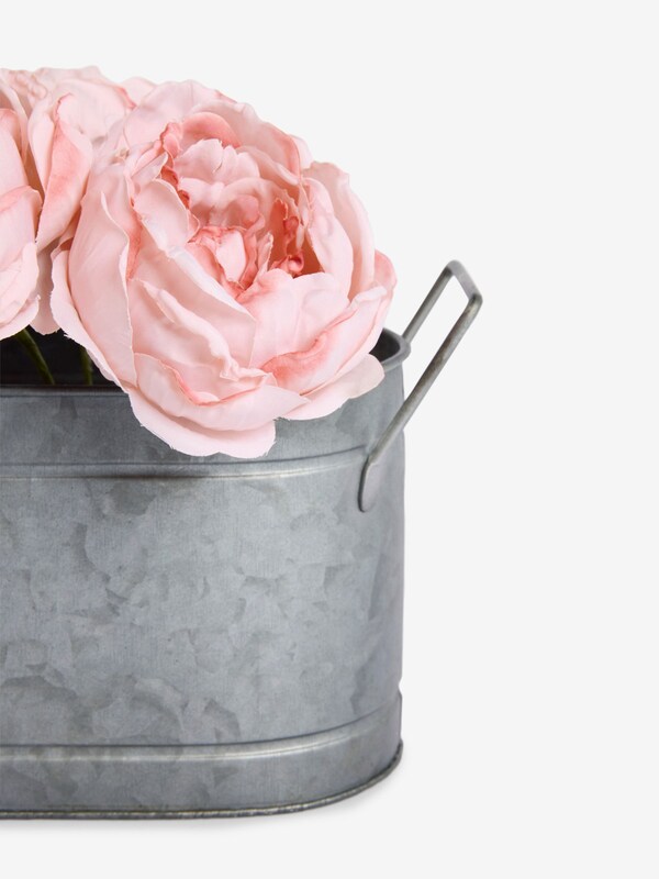 Seraphine Shabby Chic By Rachel Ashwell® Pale Pink Vintage Rose Trough