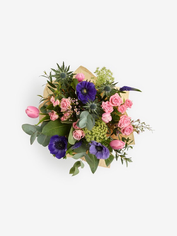 Seraphine The Chateau By Angel Strawbridge Pink/Purple Spray Rose Tulip And Anemony Fresh Flower Bouquet In Gift Bag
