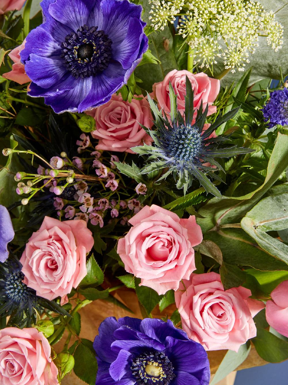 seraphine The Chateau by Angel Strawbridge Pink/Purple Spray Rose Tulip and Anemony Fresh Flower Bouquet in Gift Bag