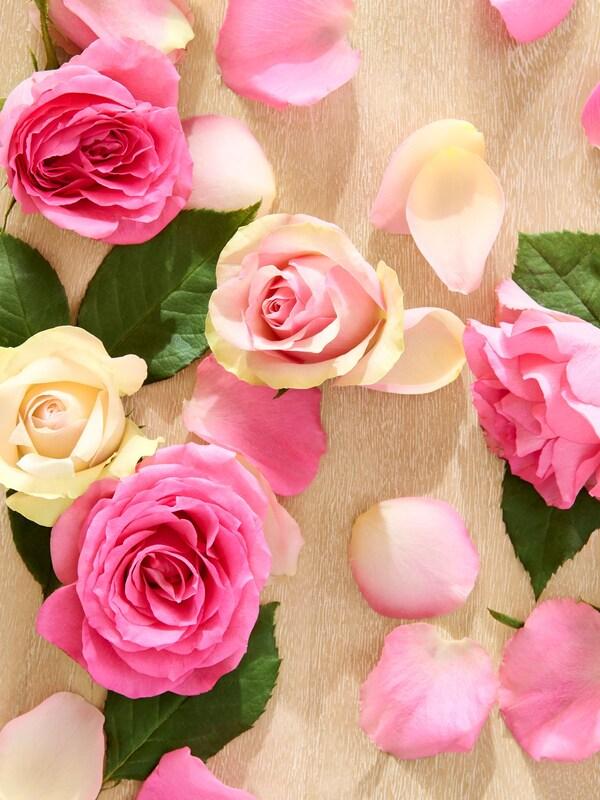 Seraphine Vintage Rose Vintage Rose Decorative Decorative Candle