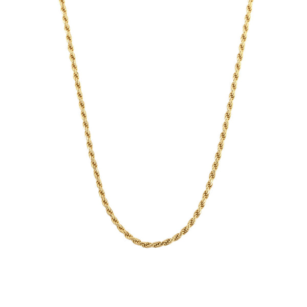 serge denimes Gold Rope Necklace
