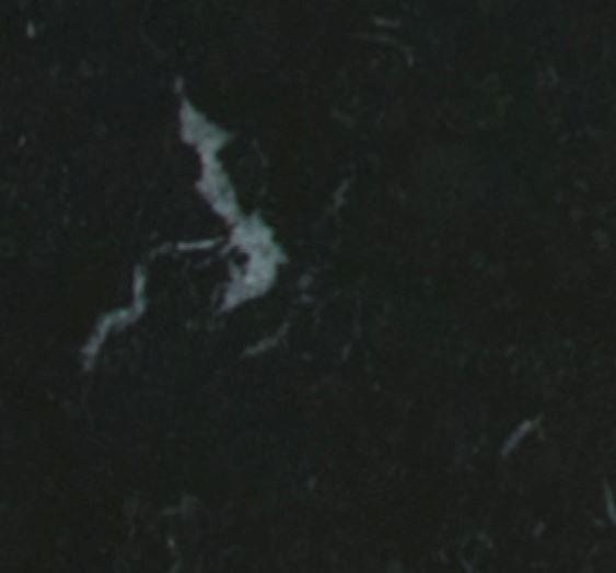 Sferra Fiammetta V Italian Marble Pet Bowl With Stainless Steel Insert GIFTS U0026 DÉCOR