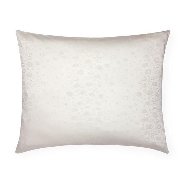 Sferra Felino Sham SALE