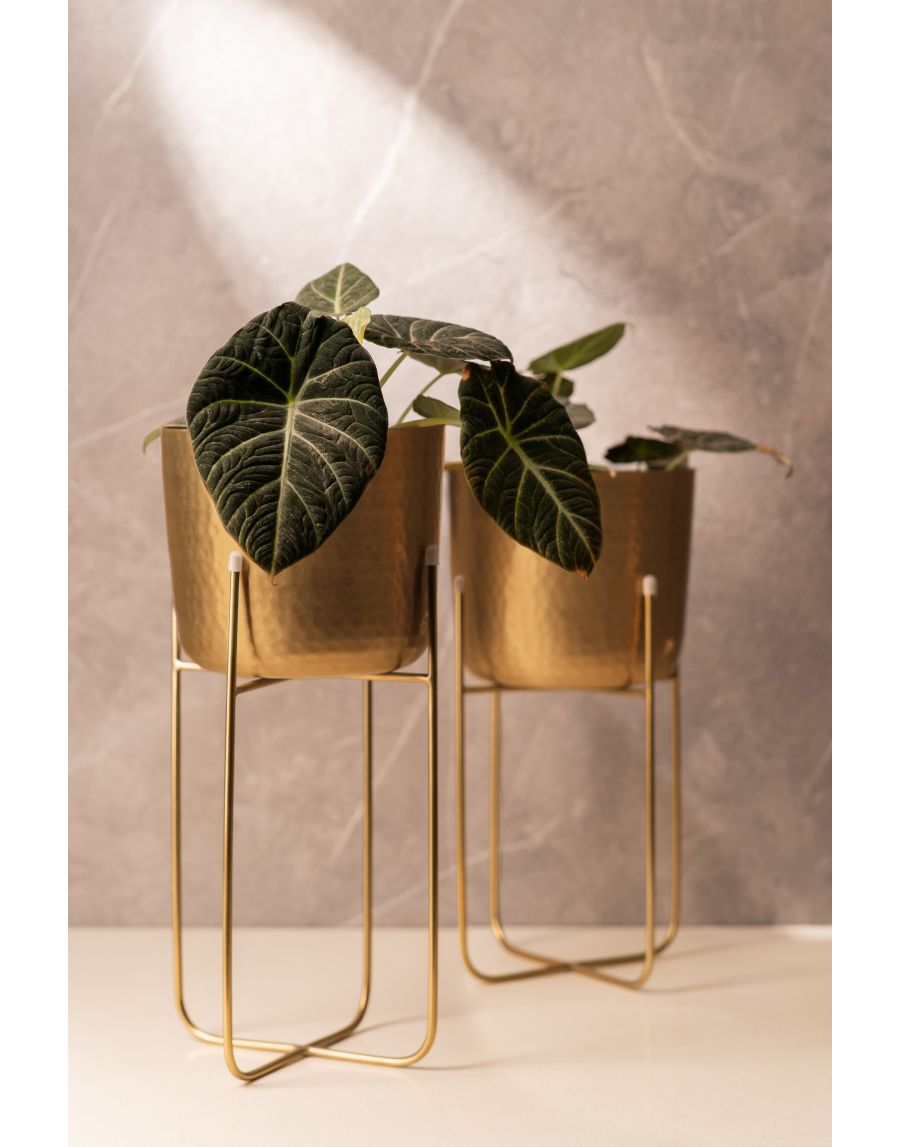 Sg Home Artisanal Planter Set With Stand (Set Of 2)