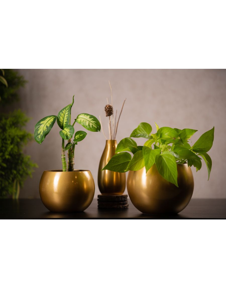 Sg Home Bottle Flower Vase