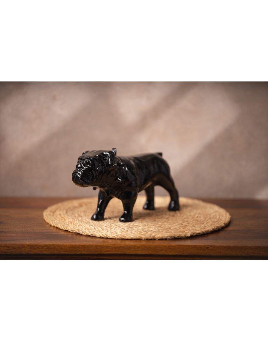 sg home Bulldog Accent