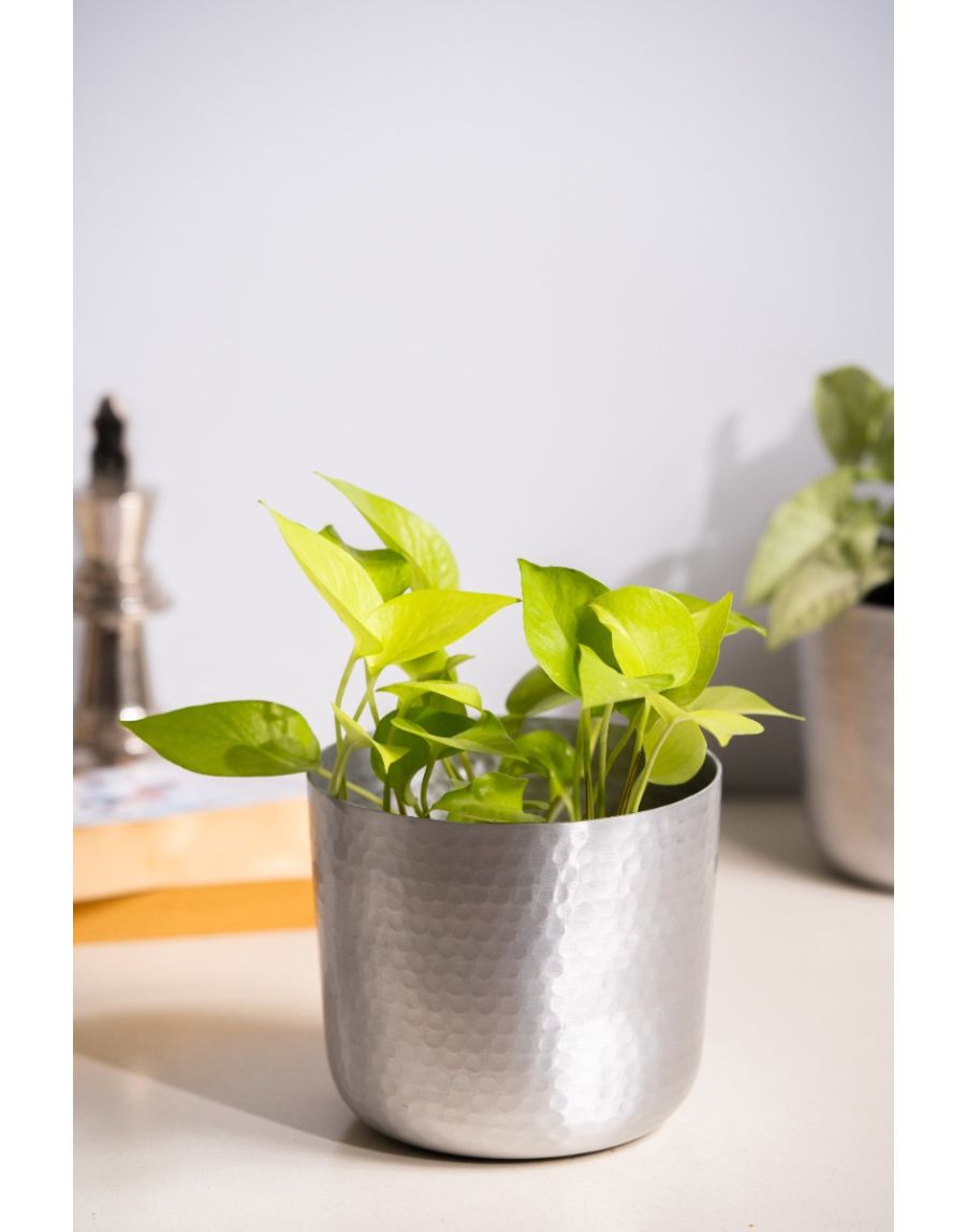 Sg Home Cool Hammered Planter