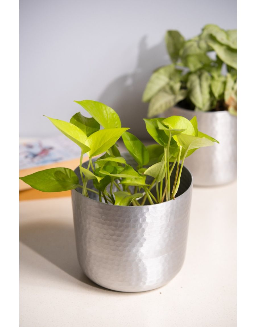sg home Cool Hammered Planter