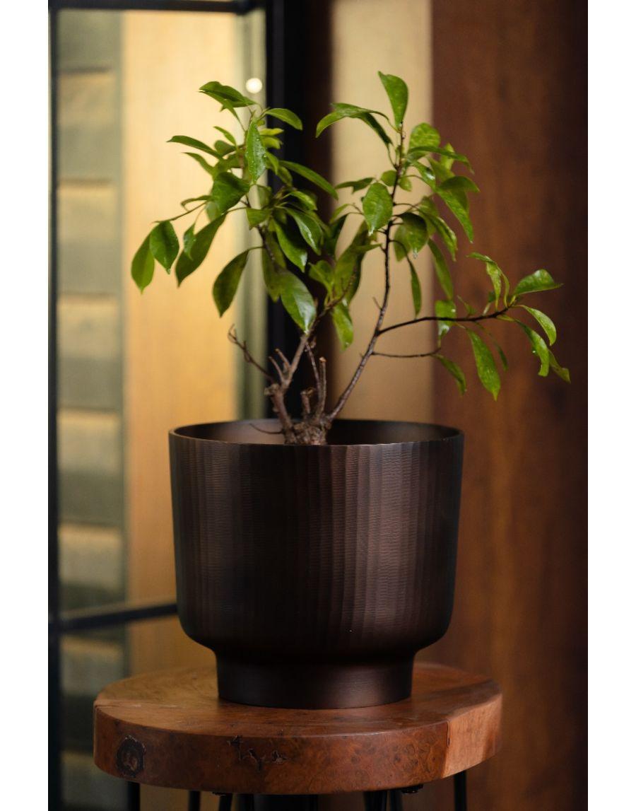 sg home Fluted Chocolate Planter Large