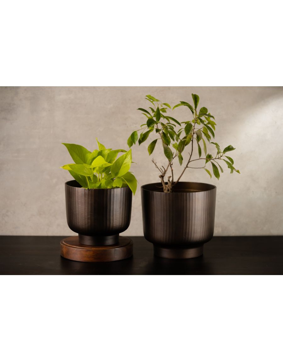 Sg Home Fluted Chocolate Planter Medium