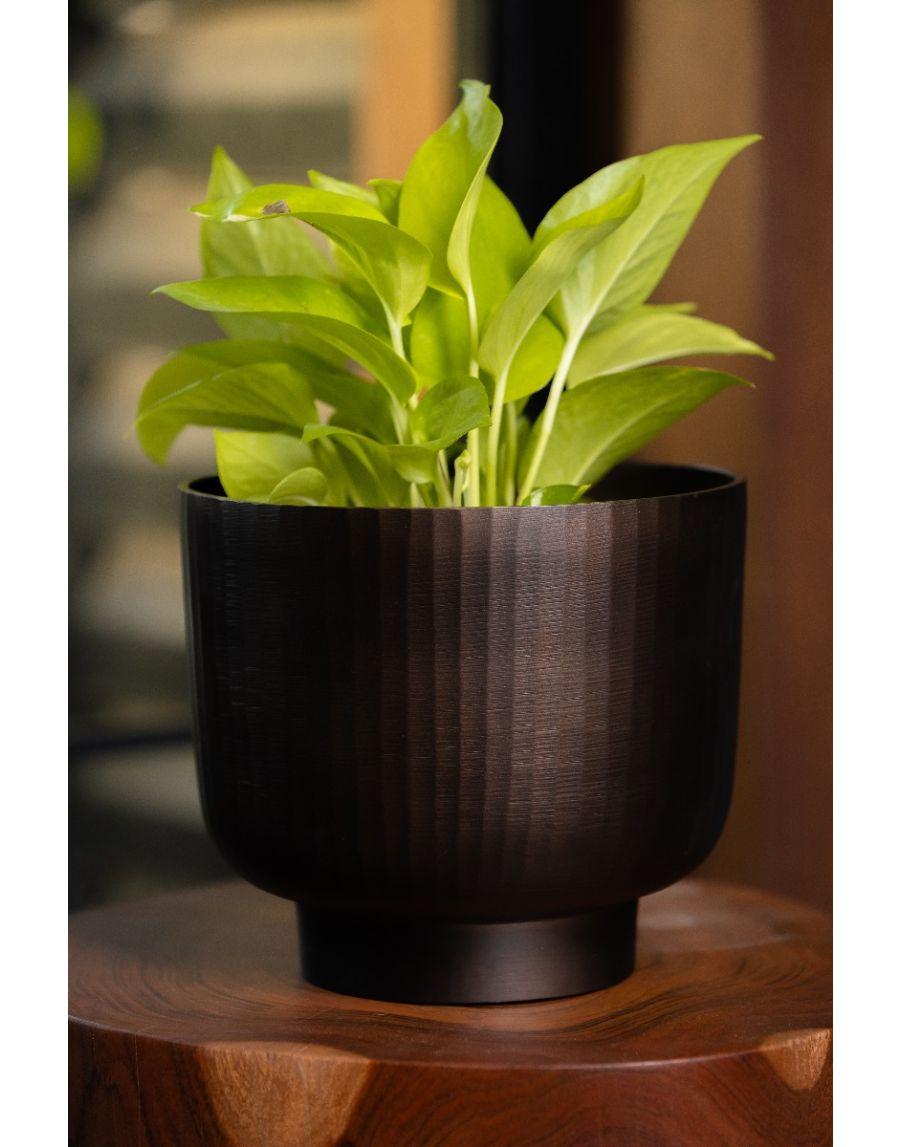 Sg Home Fluted Chocolate Planter Medium