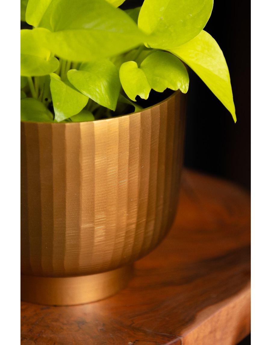 Sg Home Fluted Planter Medium (Golden)