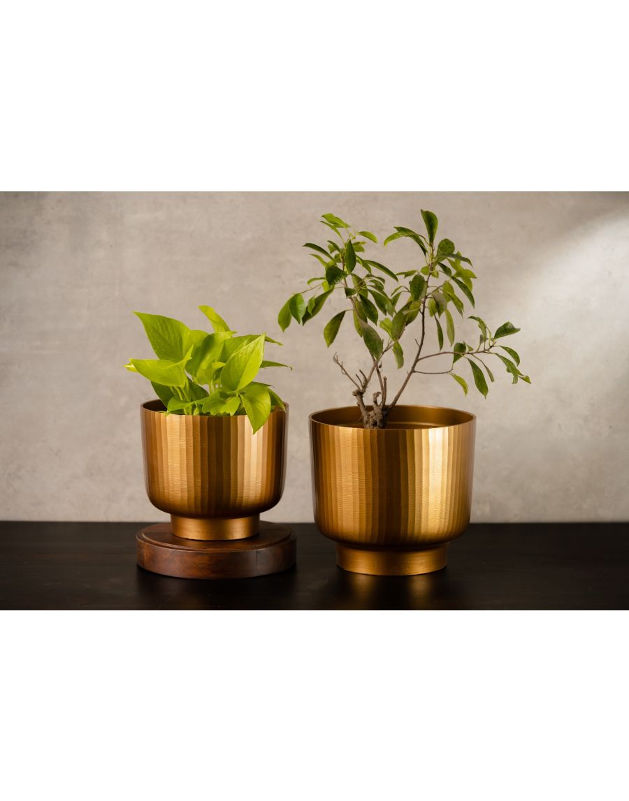 Sg Home Fluted Planter Medium (Golden)