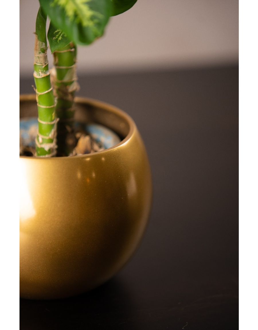 Sg Home Globe Planter (Short)