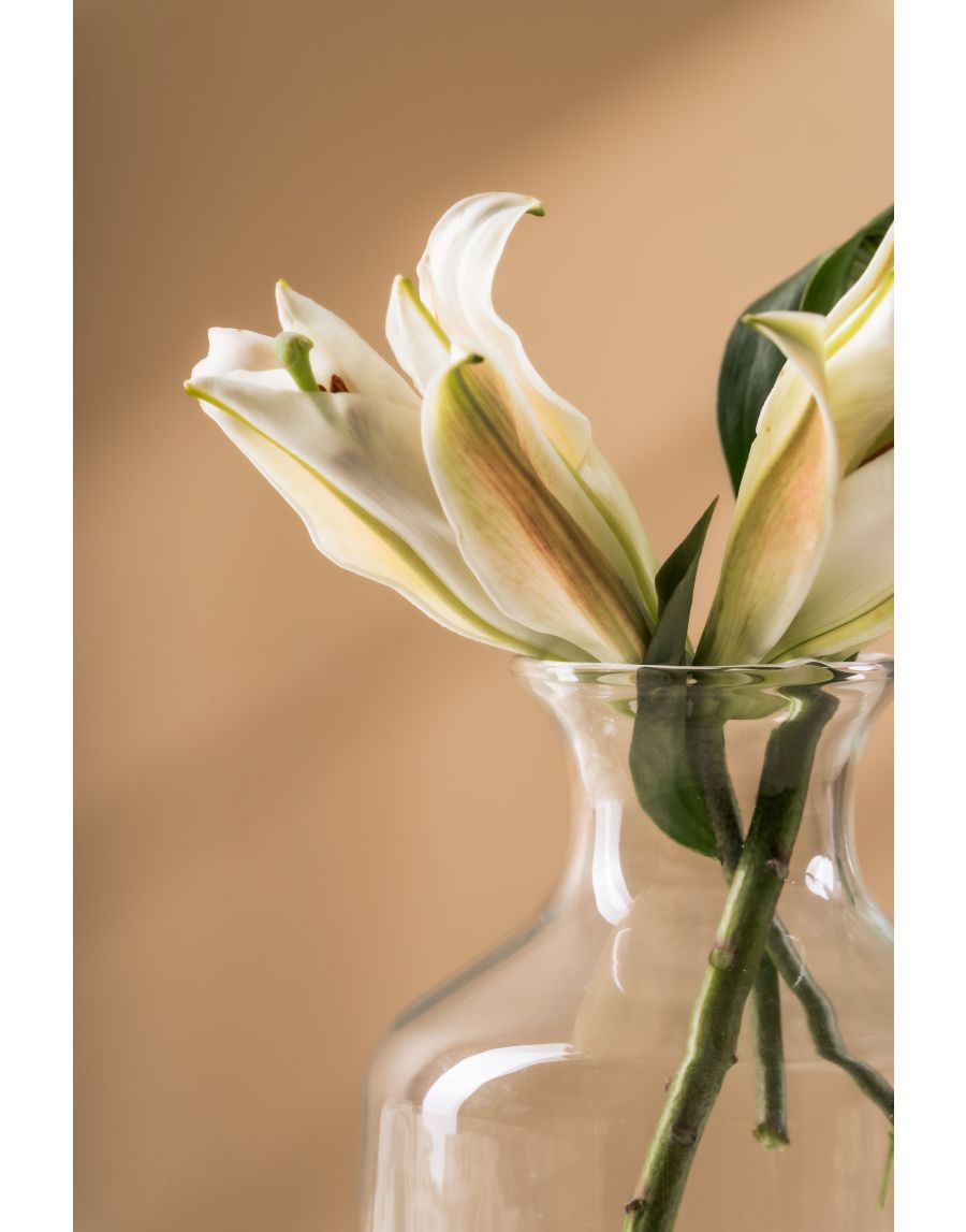 Sg Home Lily Clear Glass Vase
