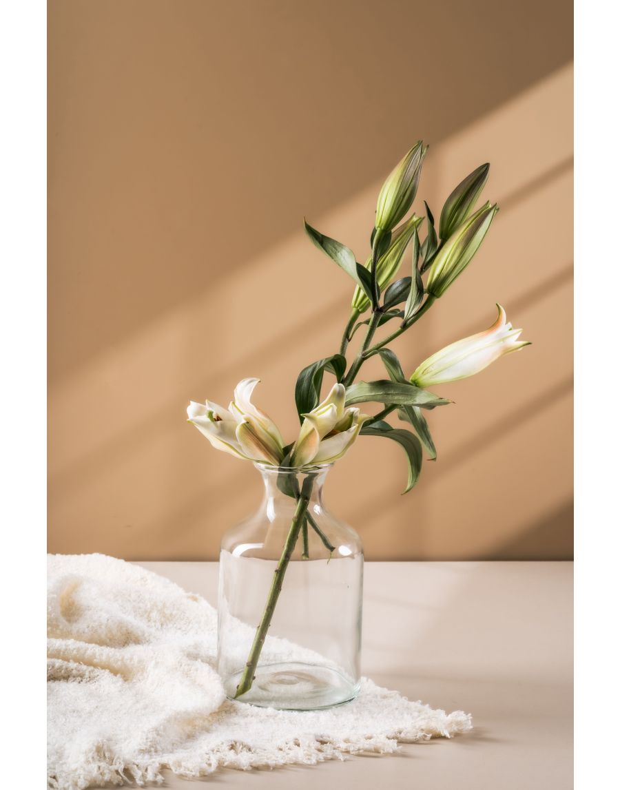 Sg Home Lily Clear Glass Vase