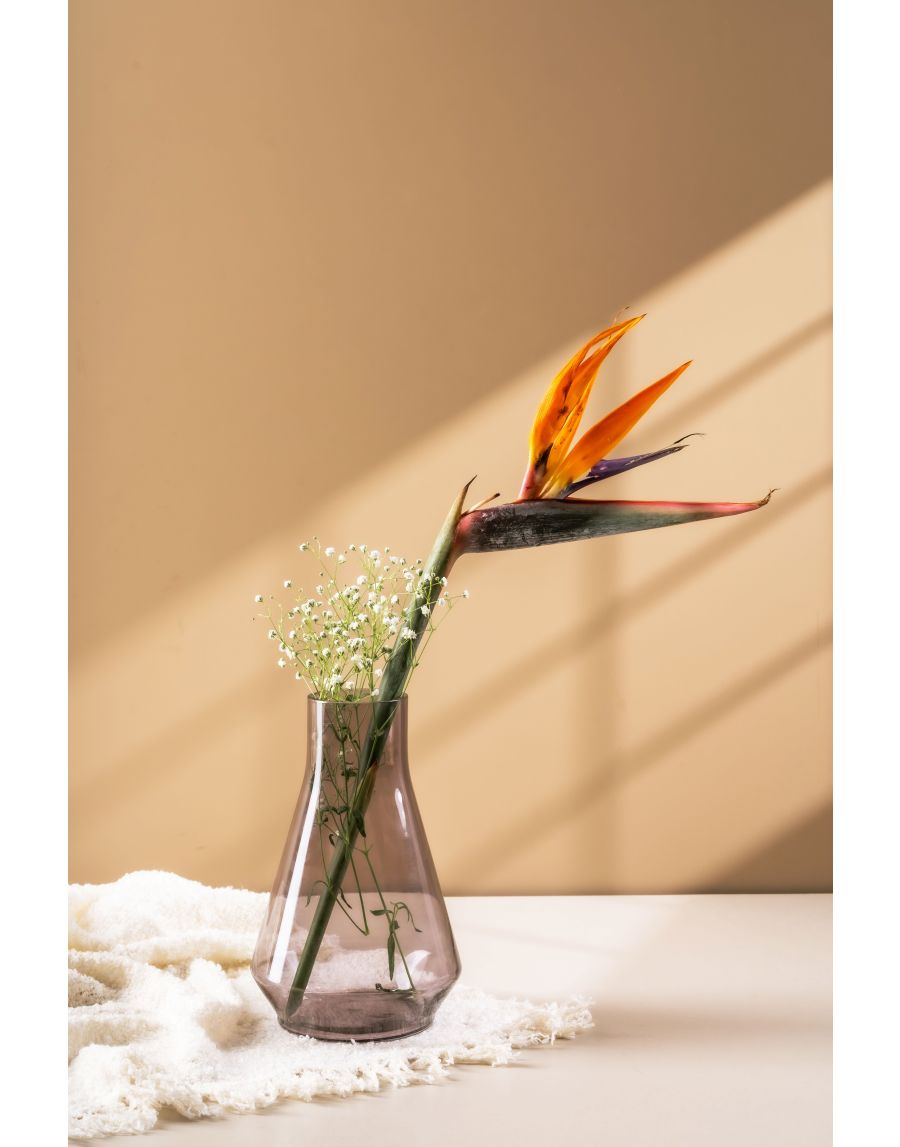 Sg Home Paradise Colored Glass Vase