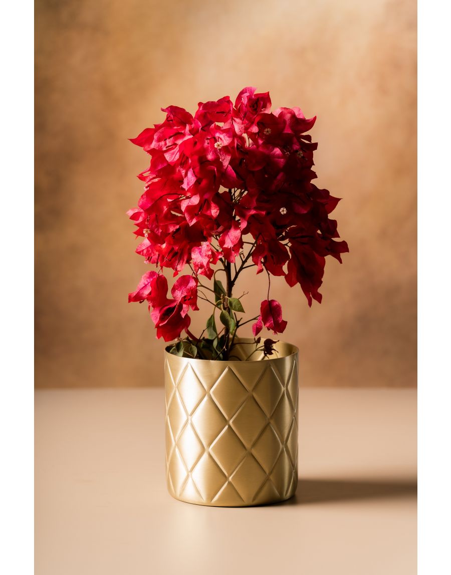 Sg Home Pineapple Paradise Planter