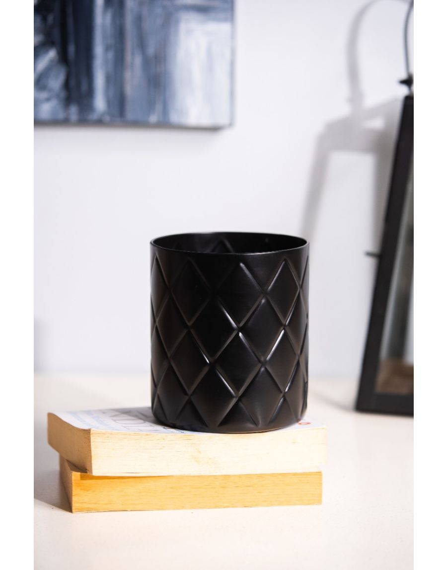 Sg Home Pineapple Planter / Stand