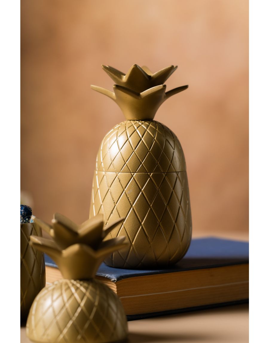 Sg Home Pineapple Treasure Box (Set Of 02)