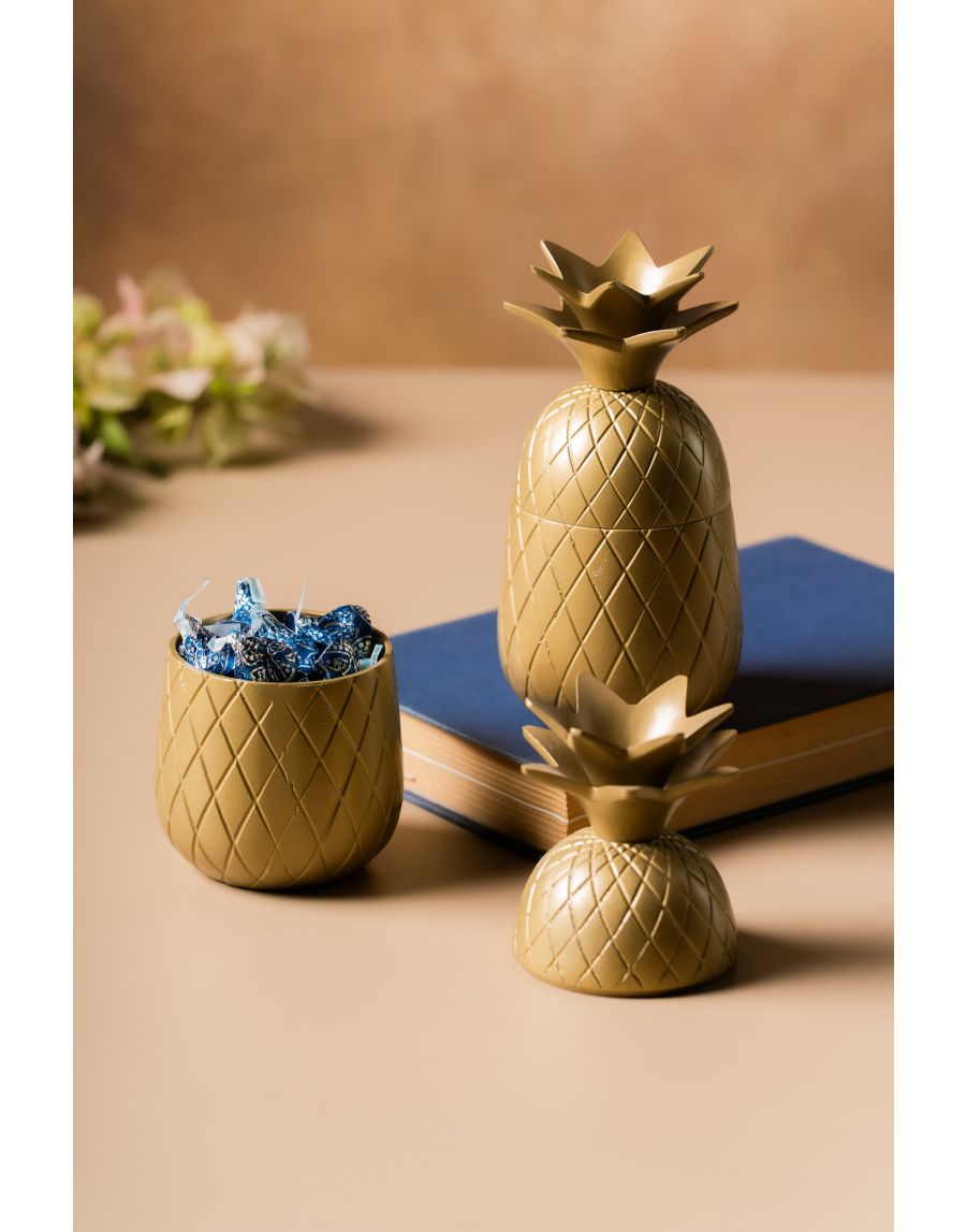 Sg Home Pineapple Treasure Box (Set Of 02)