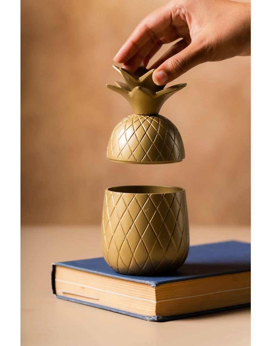 Sg Home Pineapple Treasure Box (Set Of 02)