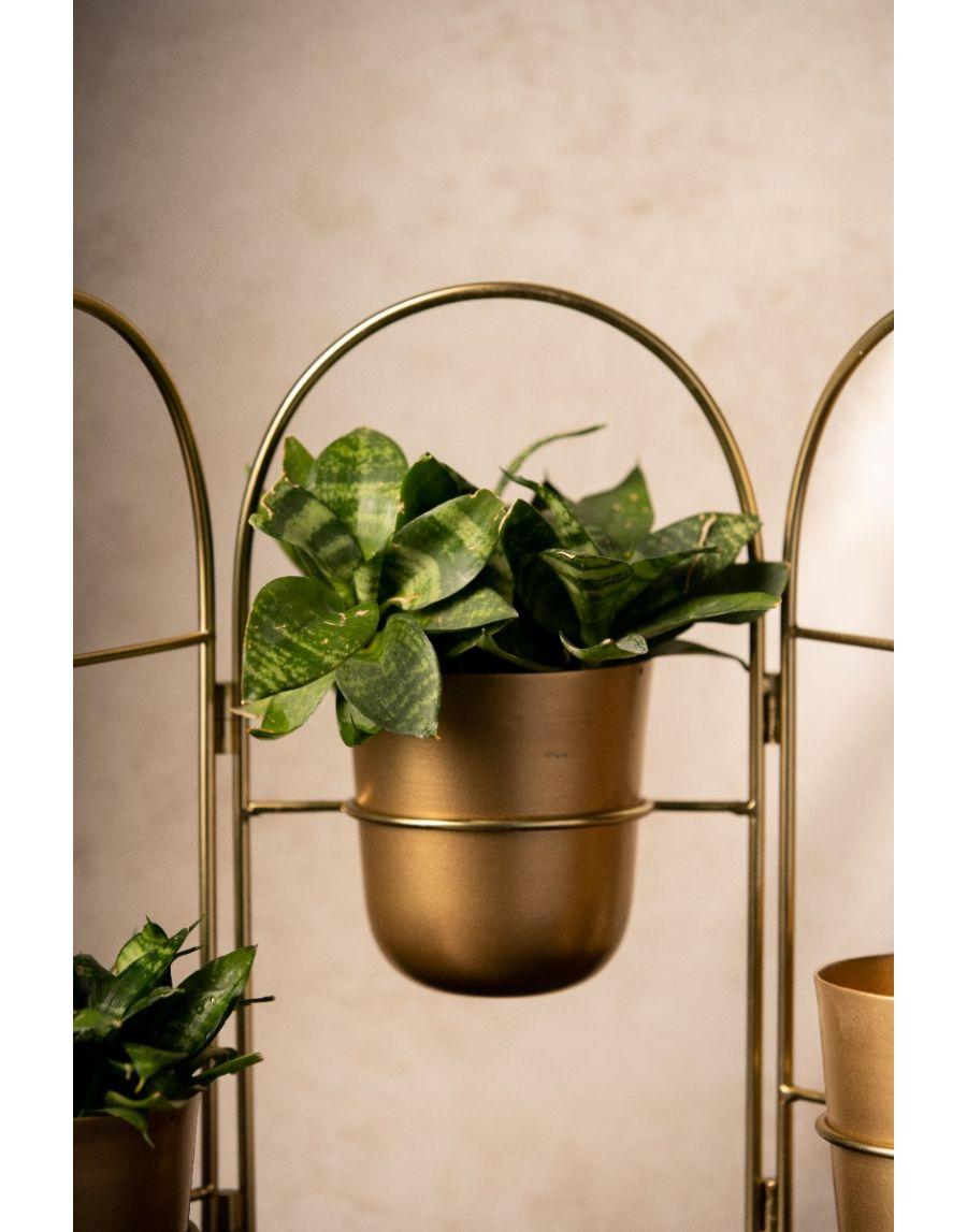 Sg Home Planter Wall Set