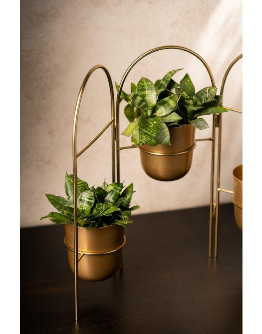 Sg Home Planter Wall Set