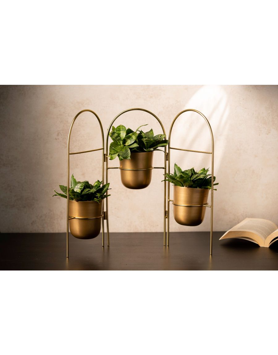 sg home Planter Wall Set