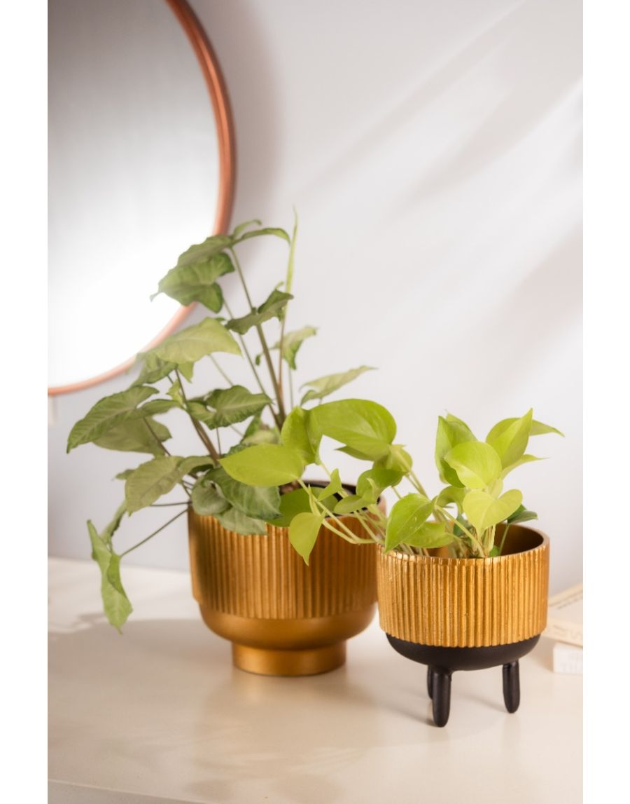 Sg Home Ribbed Planter (Large)