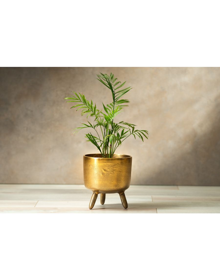 sg home Rustic Robo Planters -Small