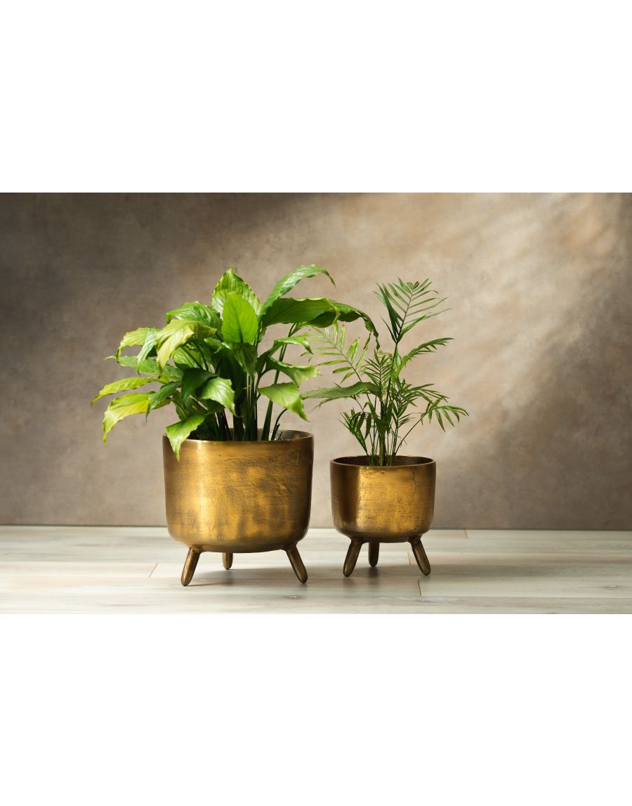 sg home Rustic Robo Planters