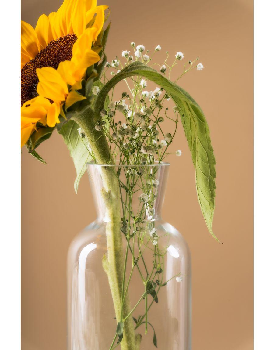 Sg Home Sunflower Clear Glass Vase