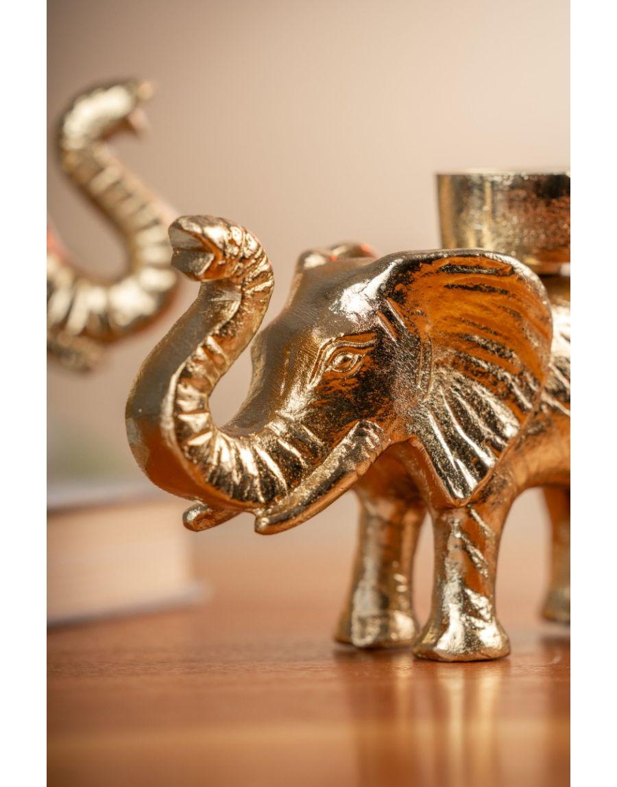 Sg Home Tusker Gift Box