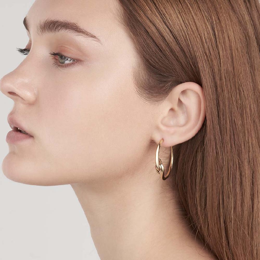 Shaun Leane Hook Hoop Earrings - Yellow Gold Vermeil