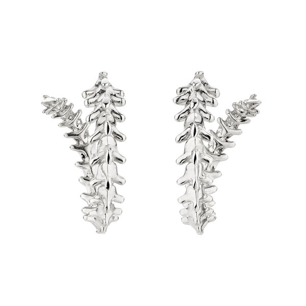 shaun leane Serpent's Trace Hoop Earrings - Silver