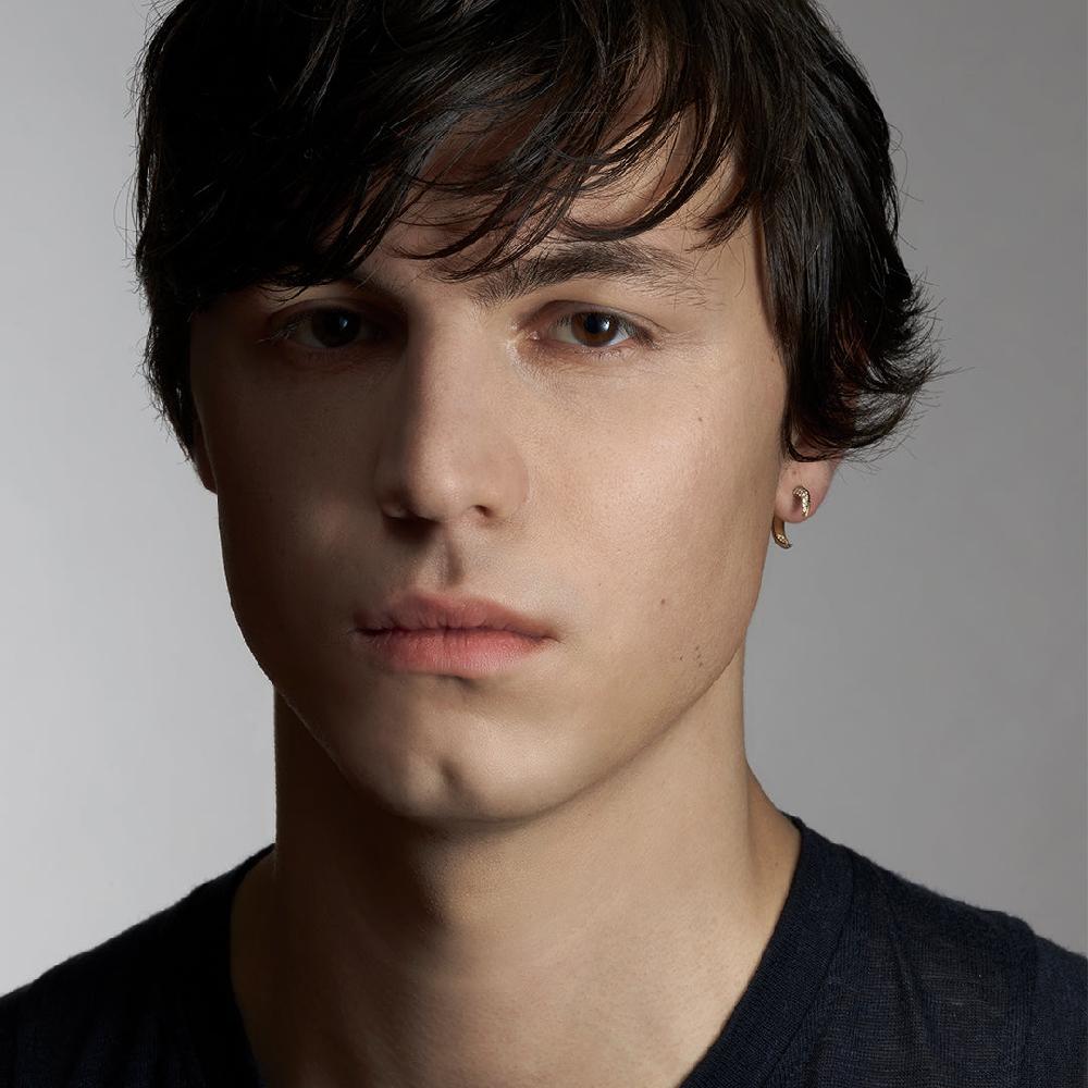 Shaun Leane Talon Fine Earrings - 18ct Yellow Gold & Diamond